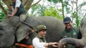 FKGI Dukung Arah Kebijakan Raja Juli Antoni, Infrastruktur Diminta Lindungi Koridor Gajah