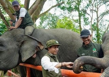 FKGI Dukung Arah Kebijakan Raja Juli Antoni, Infrastruktur Diminta Lindungi Koridor Gajah