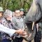 Presiden Prabowo Terbitkan Inpres Nomor 8 Tahun 2026, Tentang Penyelamatan Populasi dan Habitat Gajah Sumatera & Gajah Kalimanta