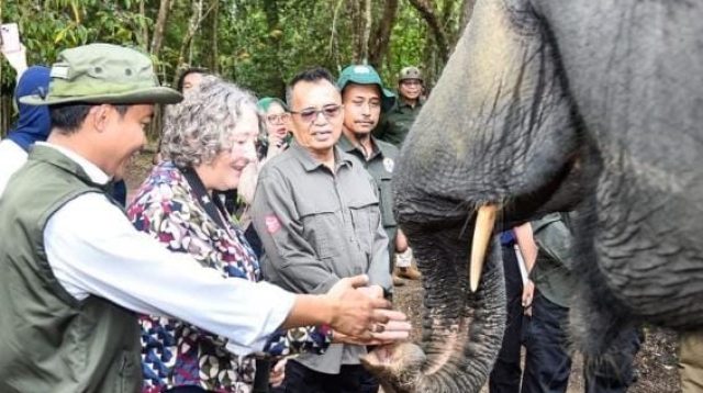 Presiden Prabowo Terbitkan Inpres Nomor 8 Tahun 2026, Tentang Penyelamatan Populasi dan Habitat Gajah Sumatera & Gajah Kalimanta
