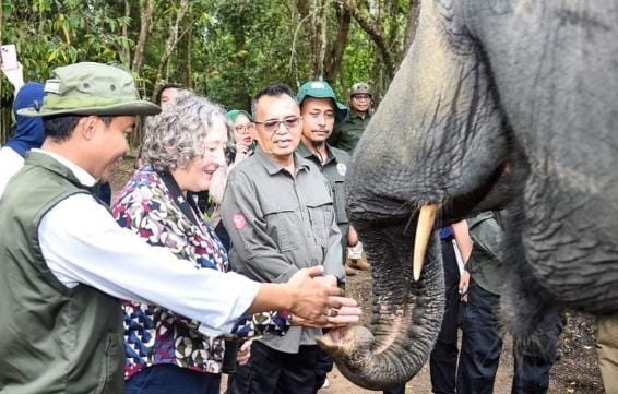 Presiden Prabowo Terbitkan Inpres Nomor 8 Tahun 2026, Tentang Penyelamatan Populasi dan Habitat Gajah Sumatera & Gajah Kalimanta