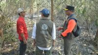 Menhut Raja Antoni Turun ke Lokasi Karhutla Kalimantan Selatan, Operasi Pemadaman Diperkuat