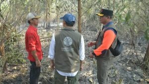 Menhut Raja Antoni Turun ke Lokasi Karhutla Kalimantan Selatan, Operasi Pemadaman Diperkuat