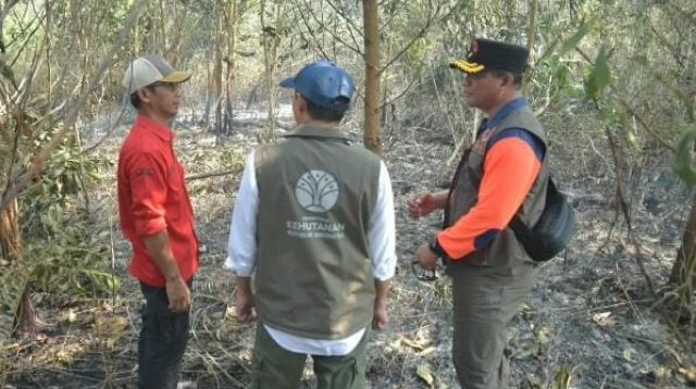 Menhut Raja Antoni Turun ke Lokasi Karhutla Kalimantan Selatan, Operasi Pemadaman Diperkuat