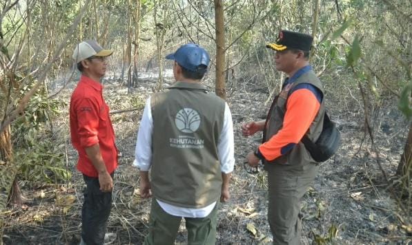 Menhut Raja Antoni Turun ke Lokasi Karhutla Kalimantan Selatan, Operasi Pemadaman Diperkuat