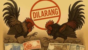Aktifitas Sabung Ayam di Bekasi Meresahkan, Masyarakat Minta Aparat Tindak Tegas